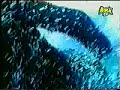 Thumbnail #3