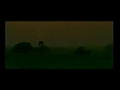  - MovieZen Video