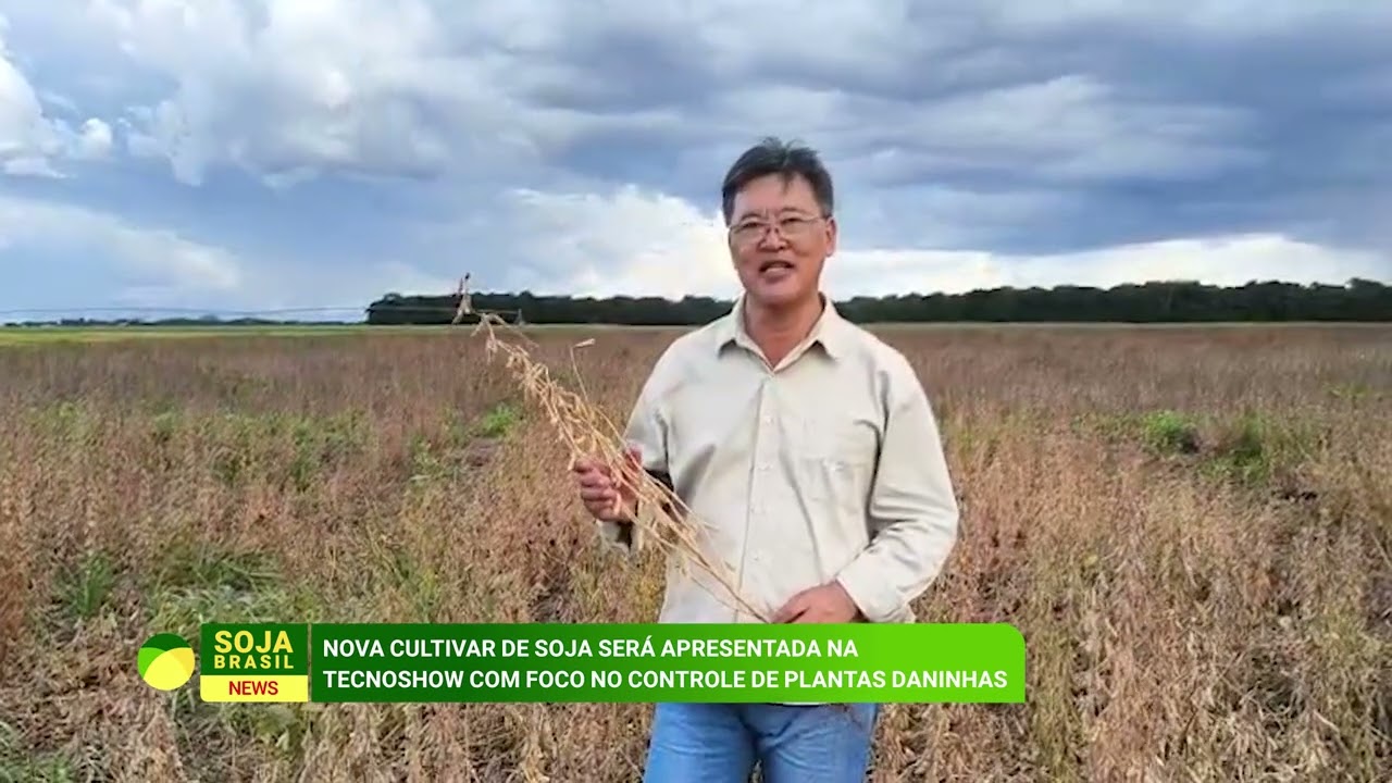 Embrapa apresenta soja BRS 579 com alto rendimento e foco no manejo de plantas daninhas
