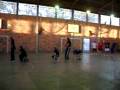 videos de ginastica geral