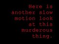 The Ballerina Bunny Murderer