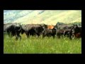 Sustainable Ranching in the Carson River Watershed