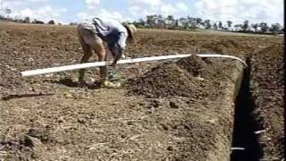 Can Belize Farmers Benefit From This Farming Method?