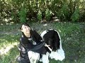 magical-trevor-2.html