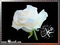Lape Aati Hai Dua Ban by Qasrab.com - Qasrab -