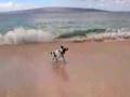Maui December 26 Pt 1