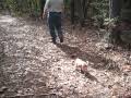 Hiking Trip - YouTube