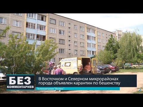 Без комментариев. 12.07.18. Объявлен карантин по бешенству.
