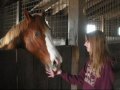 Pony Ywans(=