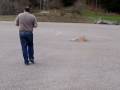 videos de Mit Savage ein Backflip über fahrendes Auto ( www.crash-racer.de  )