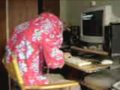 videos de ELF