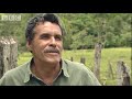 Protecting tropical forests - BBC Planet Earth Protecting tropical forests - BBC Planet Earth