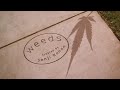 Weeds Intro - Season 2 Episode 4 - McGarrigle Sisters