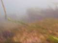 Ontario Video