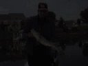 Chain Walleye