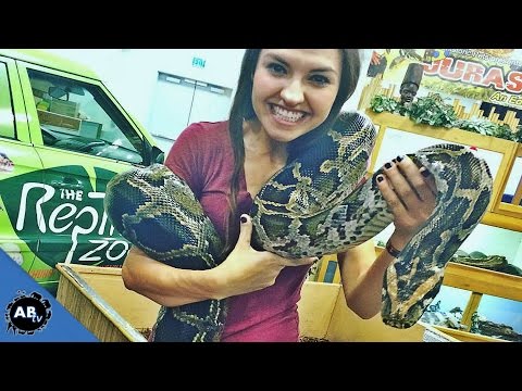 YouTube reptile video