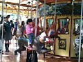 Haadiya at ZOO