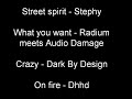 this mix has taken a bit of time to make cause i been a bit busy.

i cut up the first song to make it as it sounds in this mix, and the rest are blended in as usual. if you like the music please comment or rate, thanks!

street spirit - stephy
what you want -- radium meets audio damage
crazy -- dark by design
on fire - dhhd