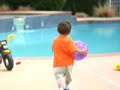 pool fence commercial