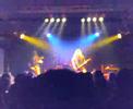 Mucupurulent Live @ Volle Snoeren