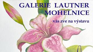 Náhled - Akvarely Romany Viktorie Wild