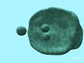 Protein Trafficking
