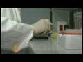 Lebanon geneticists trace link to Phoenicians - 22 Nov 08