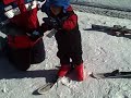 Dec 30 2007 - VID00013