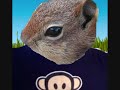 Tery the Chipmunk Contest Winners (PLZ WATCH).wmv