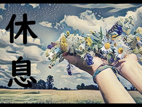 動画