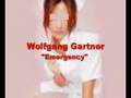 Wolfgang Gartner-Emergency (original mix)