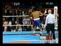 Pernell Whitaker - Can't Be Touched