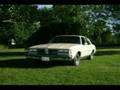 videos de The Cutlass