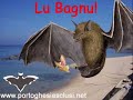 Operazione Pipistrello IL GRAN FINALE!