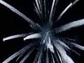 Land of the Dead \" MUSIC VIDEO : Drowning Pool \"