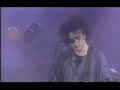 THE CURE - TREASURE