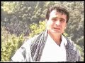 reber amed