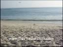 Day Trading Stock - John McLaughlin 949-218-4114 Day Trading Stock - John McLaughlin 949-218-4114