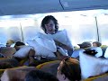 ドイツの飛行機でまさかの枕投げ！これにはキャビンアテンダントもびっくり。。のサムネイル1
