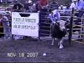 JARIPEO EN VERDIA JALISCO 2da parte