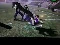 Bully(wii) Fights