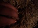 teddy love