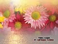 Wild Flower By New Birth