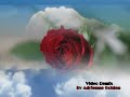 Wild Flower By New Birth