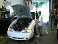 97 cobra 03 swap with nitrous
