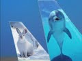 Frontier Airlines: Best Low Cost Carrier