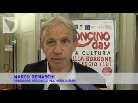 MARCO REMASCHI SU PEPERONCINO DAY 2016 - dichiarazione