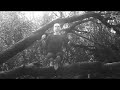 Lightnest - modern dance film Lightnest - modern dance film