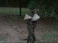 Pastor Belga Malinois video