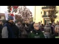 Vivisezione, tanto sangue per niente